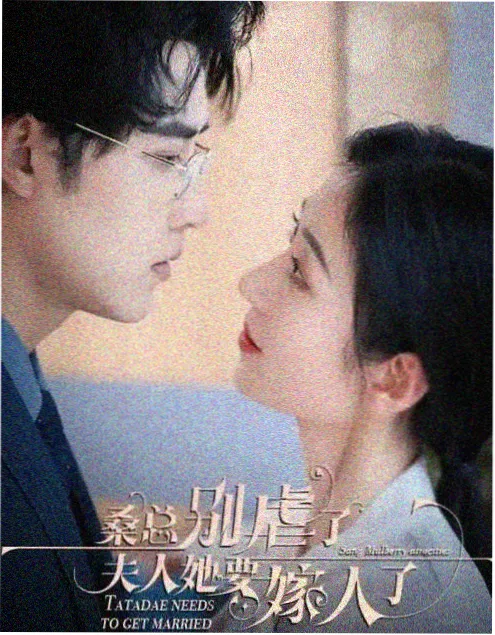 蜜桃视频网文艺电影风从海上来海报